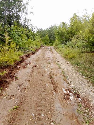 Obavijest o Sanaciji Putnog Pravca Bosanski Osredci - Cvjetnic