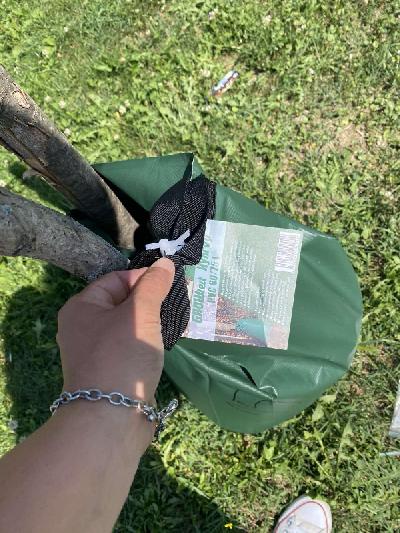 Svako stablo u gradu je dragocjeno – brinimo o njima ! 