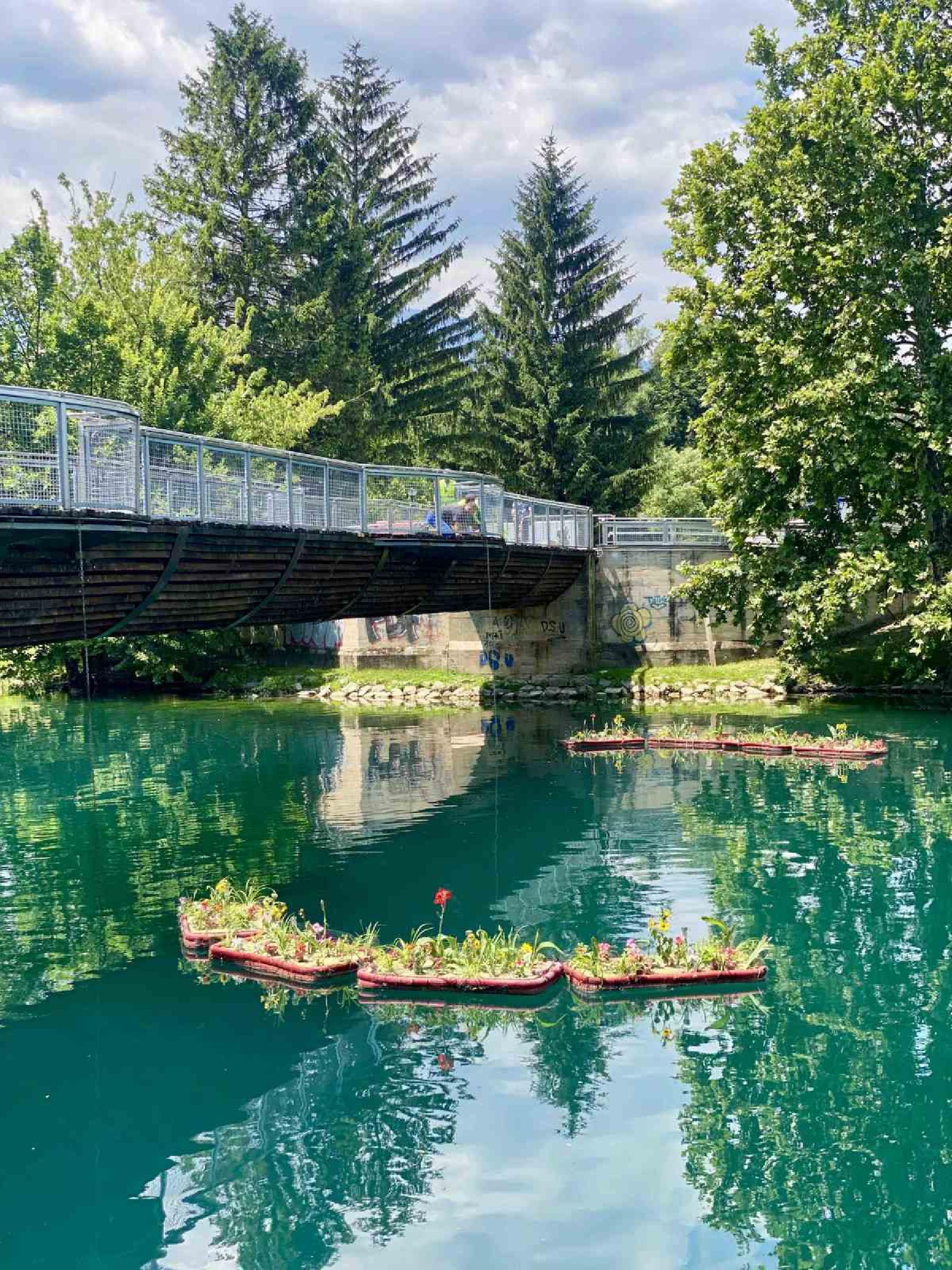 Plutajući cvjetni otoci na Uni – spoj prirode, nauke i ekologije 